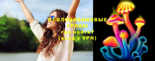 ПСИЛОЦИБИНОВЫЕ ГРИБЫ Елабуга