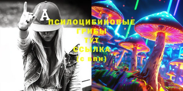 ПСИЛОЦИБИНОВЫЕ ГРИБЫ Елабуга