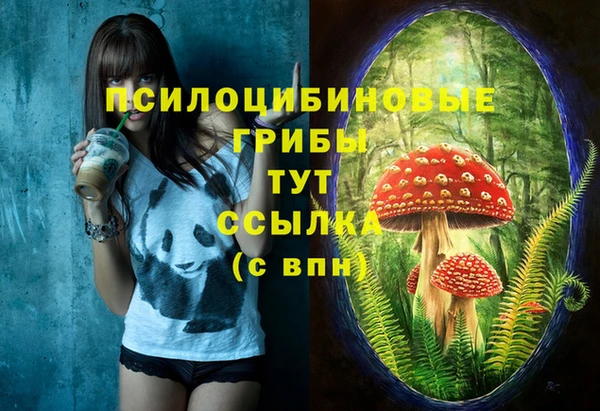 ПСИЛОЦИБИНОВЫЕ ГРИБЫ Елабуга