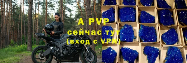 ПСИЛОЦИБИНОВЫЕ ГРИБЫ Елабуга