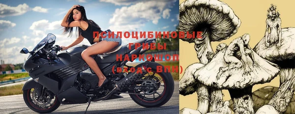 Альфа ПВП Елизово