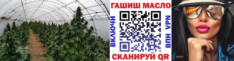 ТГК вейп  Купить  Новоузенск 